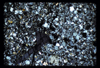 ap1701_03_14