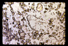 ap1701_04_03