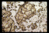 ap1701_04_05