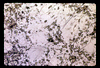 ap1701_04_07
