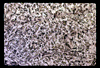 ap1701_04_11