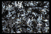 ap1701_04_12