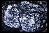 ap1701_05_07