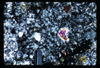 ap1701_05_17