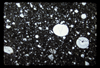 ap1701_05_18