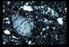 ap1701_06_10