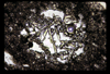 ap1701_06_11