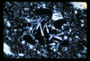 ap1701_06_12