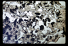 ap1701_07_15