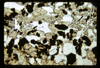ap1701_07_19