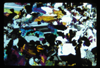 ap1701_07_20