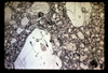 ap1701_09_07