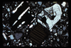 ap1701_10_01