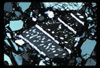 ap1701_10_05
