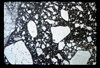 ap1701_10_12