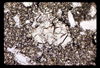 ap1701_11_04