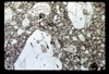 ap1701_12_06