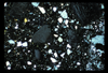 ap1701_12_13