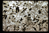 ap1701_14_01