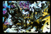 ap1701_14_04