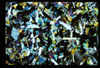 ap1701_14_08