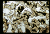 ap1701_14_09