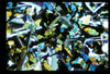 ap1701_14_10