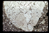 ap1701_15_07