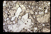 ap1701_15_11