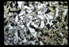 ap1702_01_01