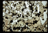 ap1702_01_09