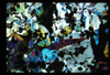 ap1702_01_10