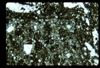 ap1702_01_19