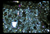 ap1702_01_20