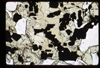 ap1702_02_01