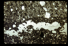 ap1702_03_03