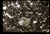 ap1702_03_05
