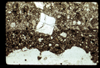 ap1702_03_17