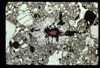 ap1702_04_01