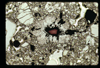 ap1702_04_03