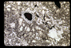 ap1702_04_07