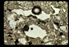 ap1702_04_13