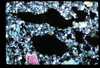 ap1702_04_14