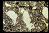 ap1702_04_15