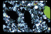 ap1702_04_16