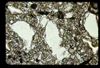 ap1702_05_01