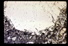 ap1702_05_09