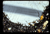 ap1702_05_10