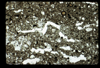 ap1702_05_11