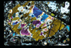 ap1702_05_14